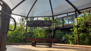 Read more about the article Exploring Rainforest Wild Adventure, Singapore | Nature, Wildlife & Adventure